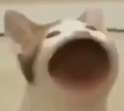 Эмодзи banana cat