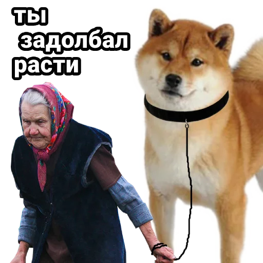 Эмодзи cryptobabkee