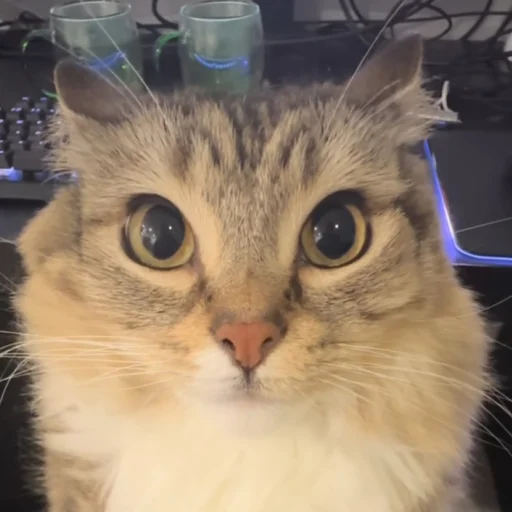 Эмодзи cumыши