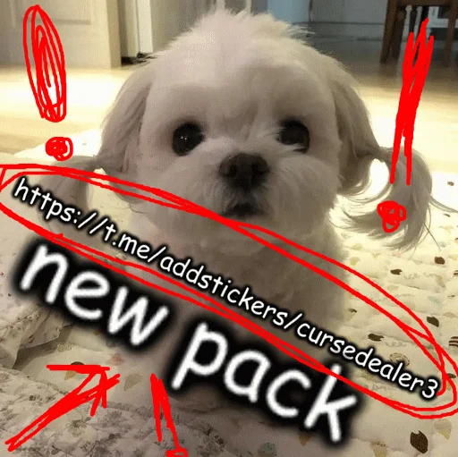 ‼️