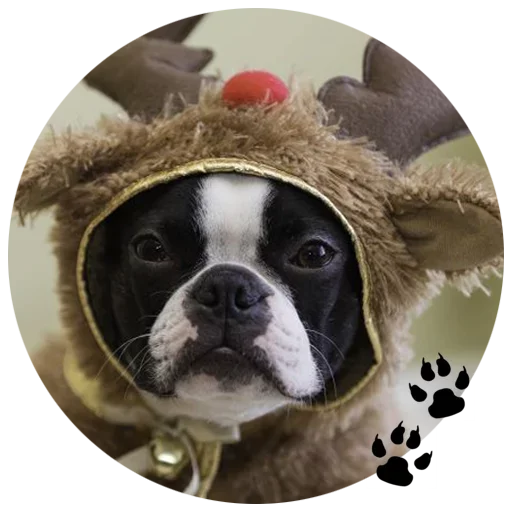 Эмодзи Cute Dogs