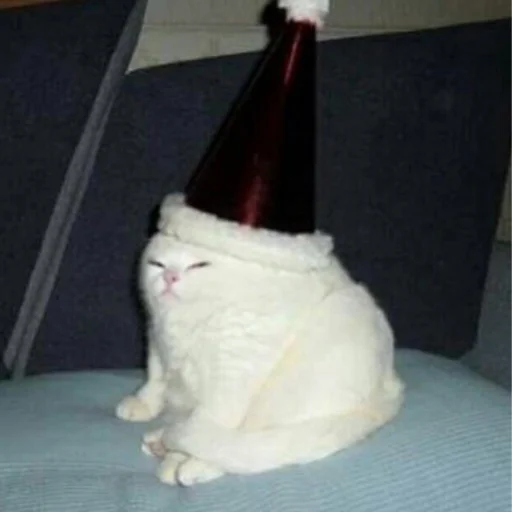 Эмодзи котики