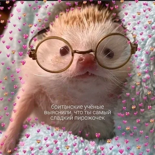 Эмодзи животные кьют