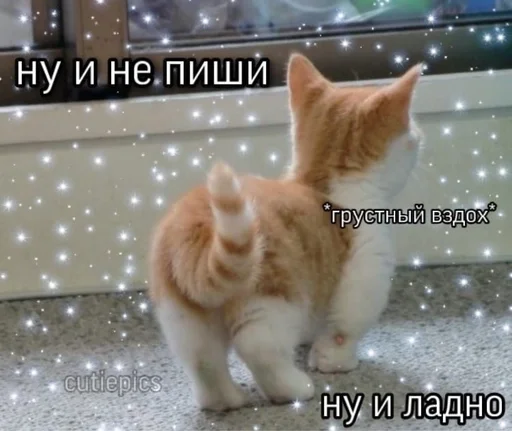 Эмодзи животные кьют