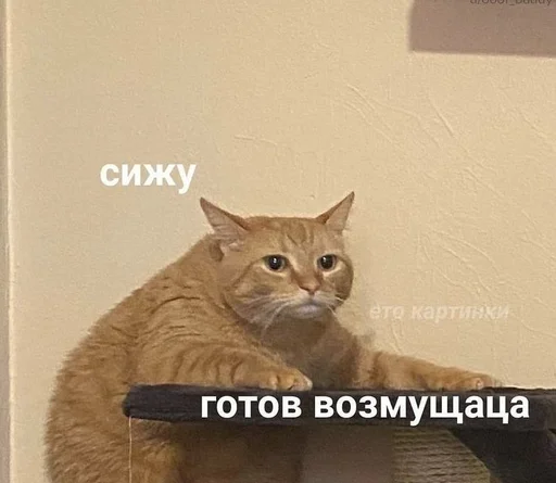 Эмодзи животные кьют