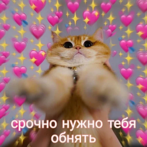 Эмодзи 🐈⬛️ ˓𓄹 ࣪˖