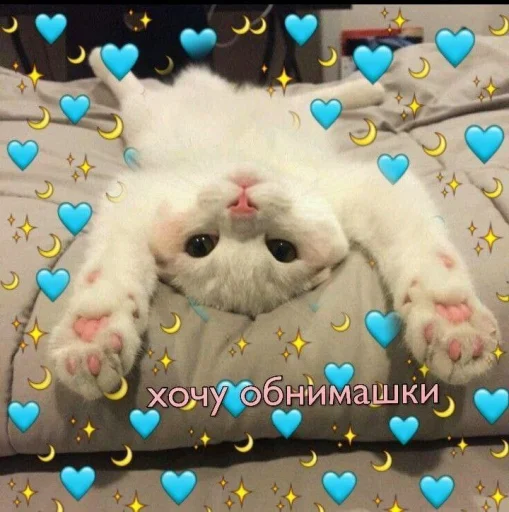 Эмодзи 🐈⬛️ ˓𓄹 ࣪˖