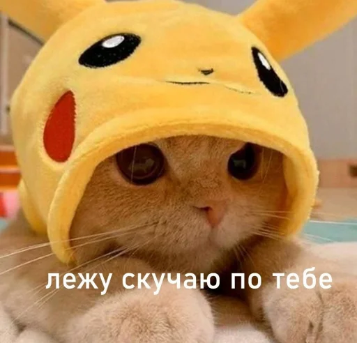 Эмодзи 🐈⬛️ ˓𓄹 ࣪˖