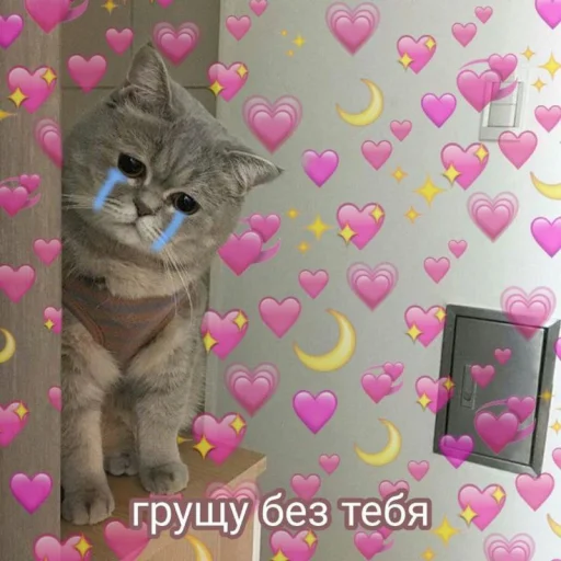 Эмодзи Cute cats 100