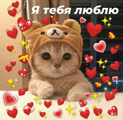 Эмодзи Cute cats 100