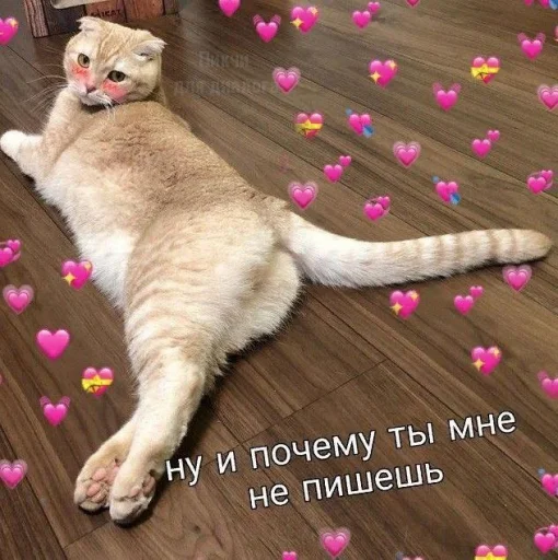 Эмодзи Cute cats 100