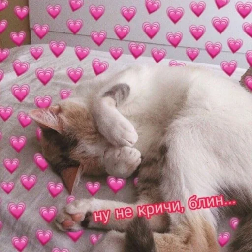 Эмодзи Cute cats 100
