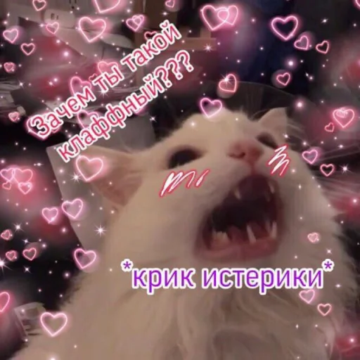 Эмодзи Cute cats 100