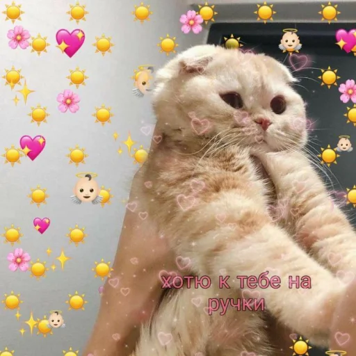 Эмодзи Cute cats 100