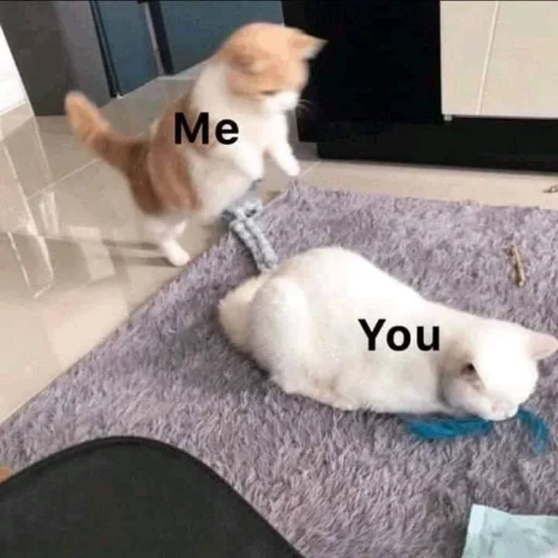 Эмодзи cutecats 3