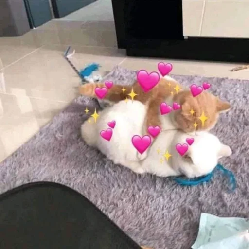 Эмодзи cutecats 3