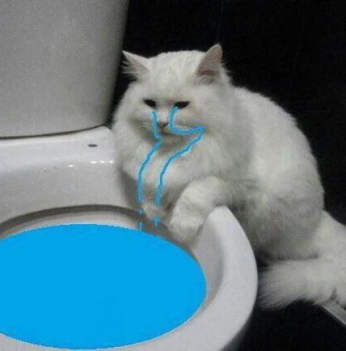 Эмодзи cutecats 3