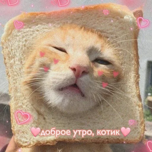 Эмодзи ˶•ㅅ•˵