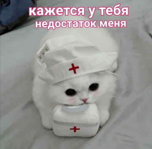 Эмодзи ˶•ㅅ•˵