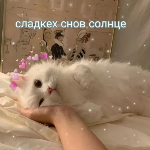 Эмодзи ˶•ㅅ•˵