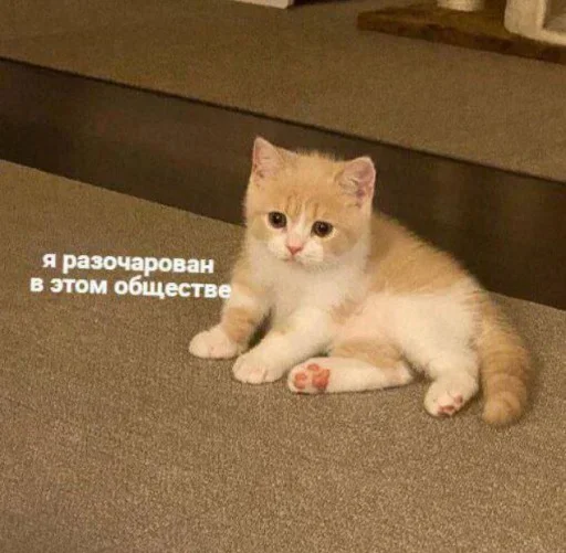 Эмодзи ˶•ㅅ•˵