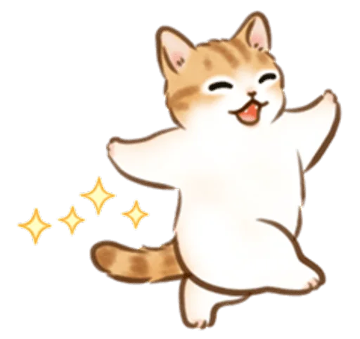 🐱