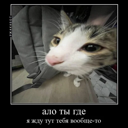 Эмодзи Миленькие котики