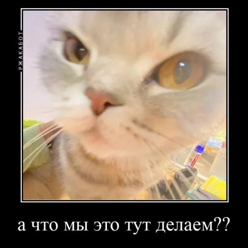 Эмодзи Миленькие котики