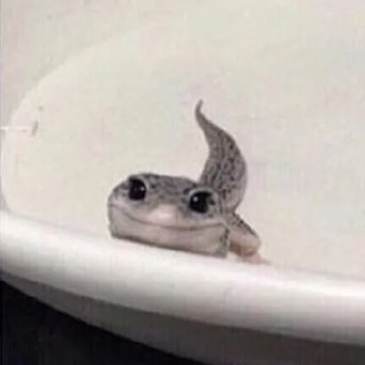 ☺️