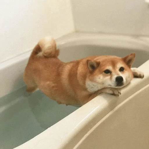 Эмодзи Cuteness Overload