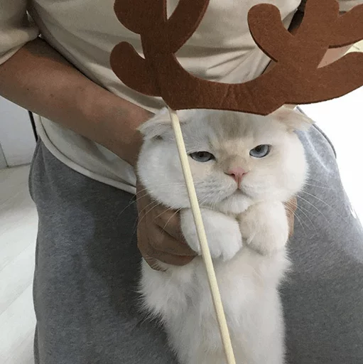 Эмодзи Cuteness Overload