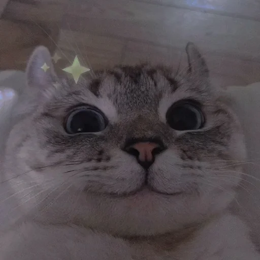 💗