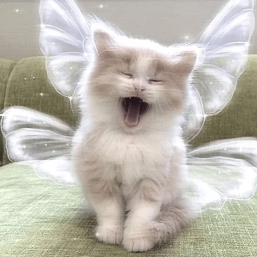 Эмодзи котейки