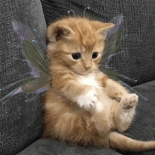 Эмодзи котейки