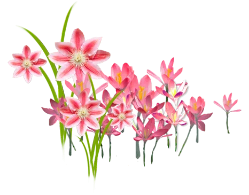 Эмодзи Цветы