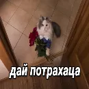 Эмодзи daidenuk