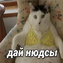 Эмодзи daidenuk