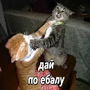 Эмодзи daidenuk