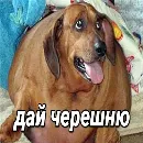 Эмодзи daidenuk