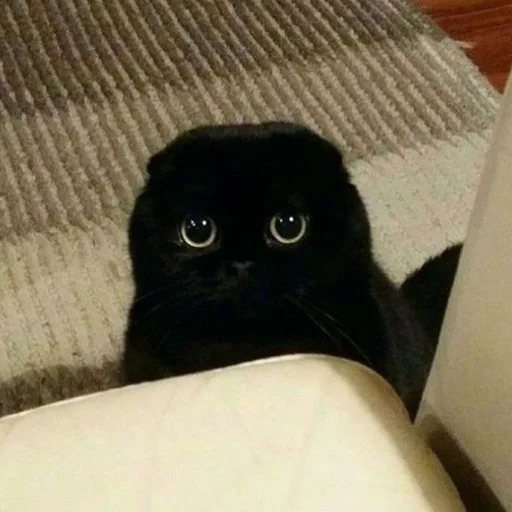 ?