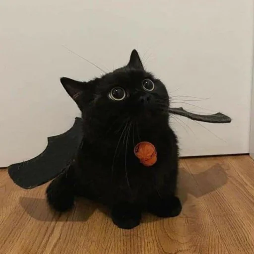 Эмодзи dark cat