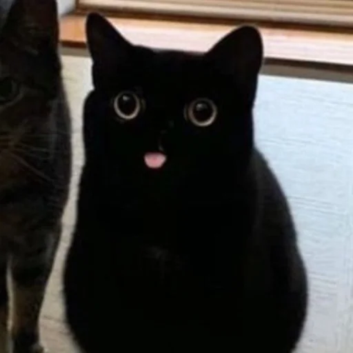 Эмодзи dark cat