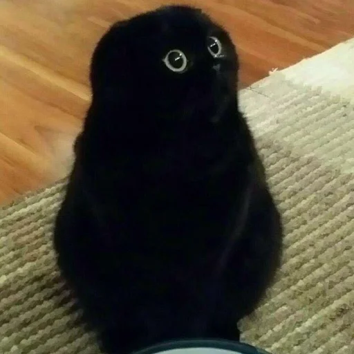 Эмодзи dark cat