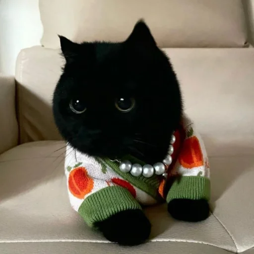 Эмодзи dark cat