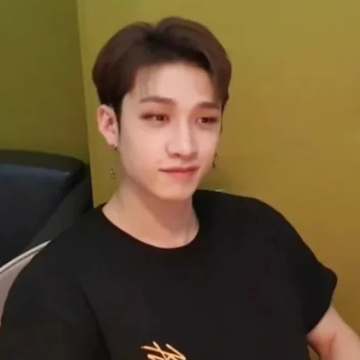 Эмодзи Stray kids