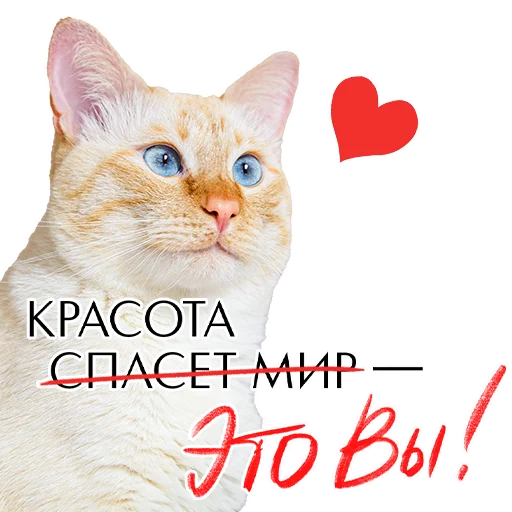 Эмодзи Комплименты
