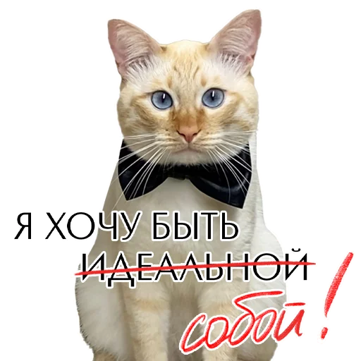 Эмодзи Комплименты