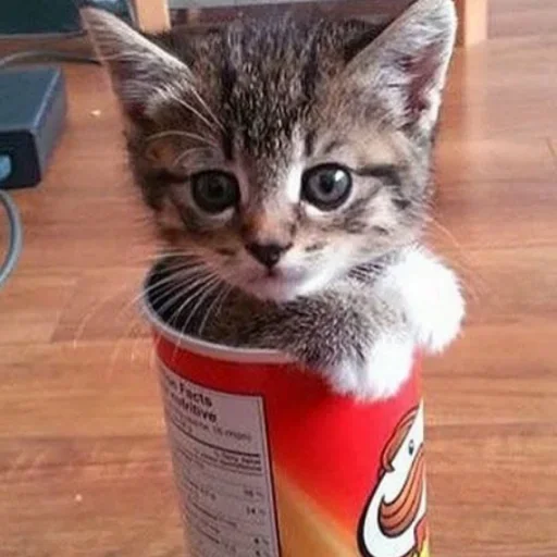 Эмодзи Дела Котеечные part 3