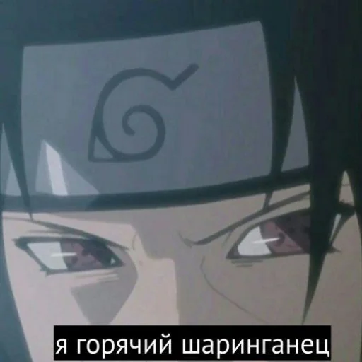 Эмодзи ДИКИЙ ШИПУДЕН