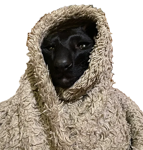 Эмодзи DON Cat